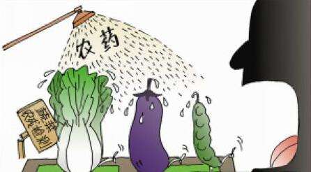 道立捷出大招去除蔬菜的農(nóng)藥殘留？--氣相色譜儀